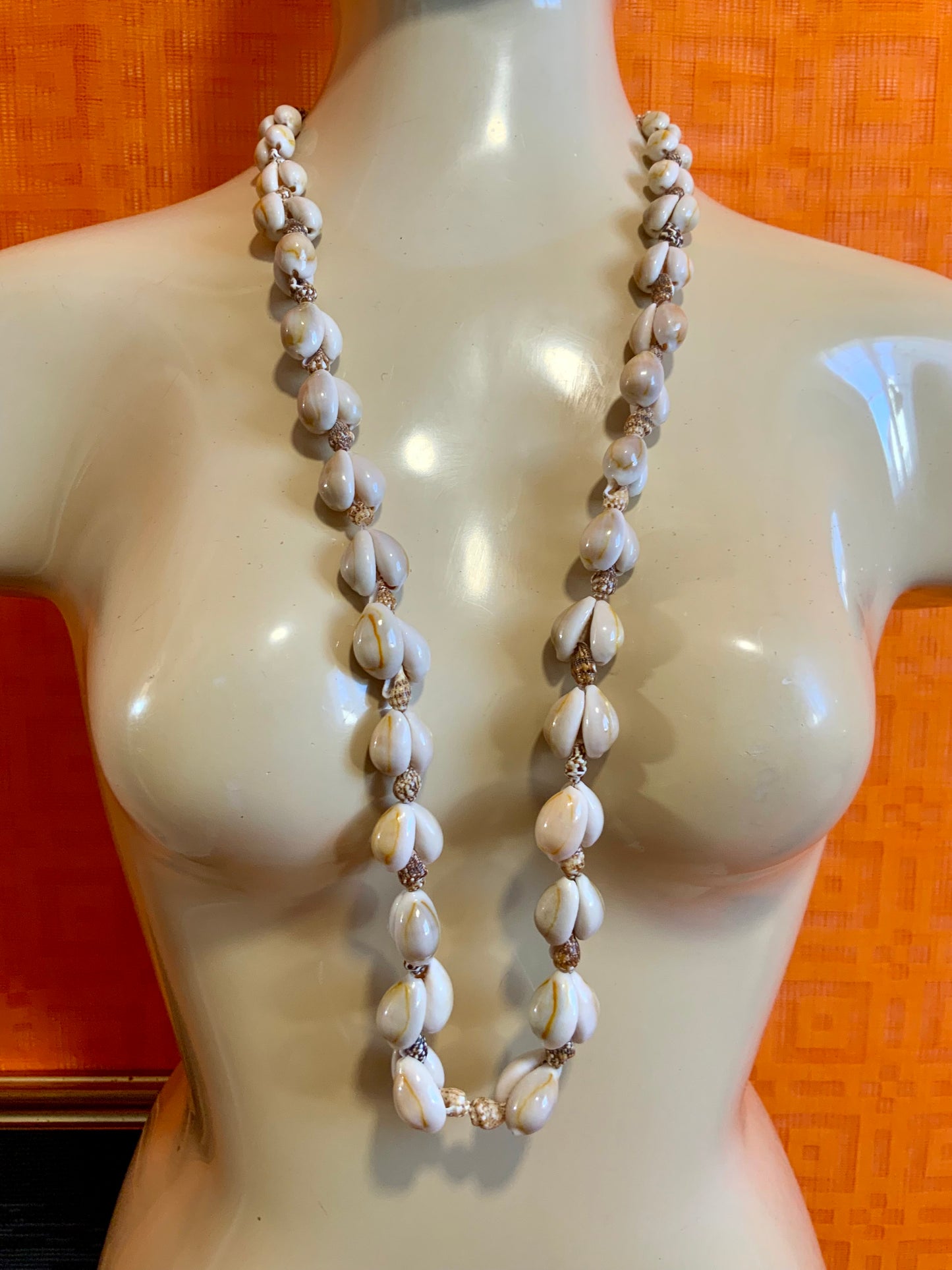 Collier Coquillages Vintage Original