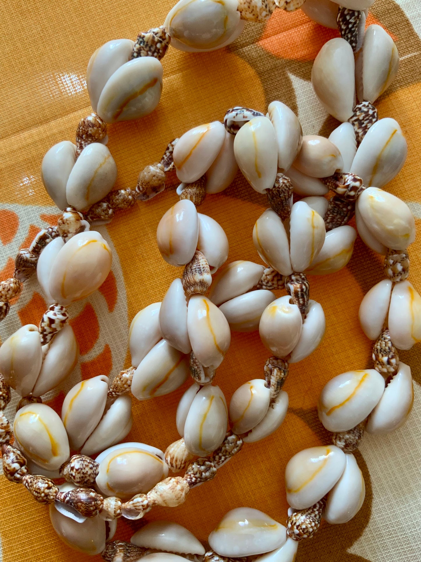 Collier Coquillages Vintage Original