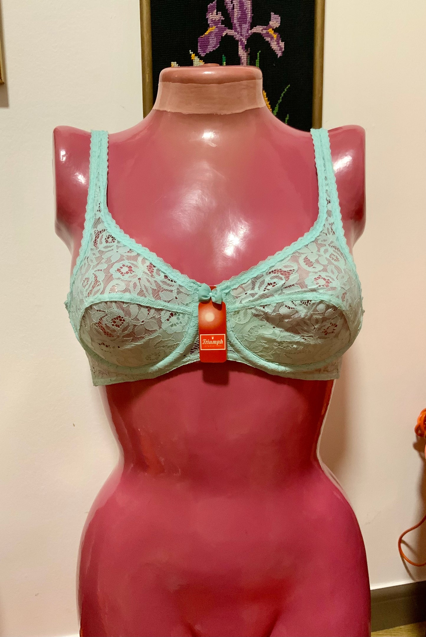 Soutien-gorge Triumph Modèle Poésie couleur menthe Vintage 1970 Dentelle Fleurs