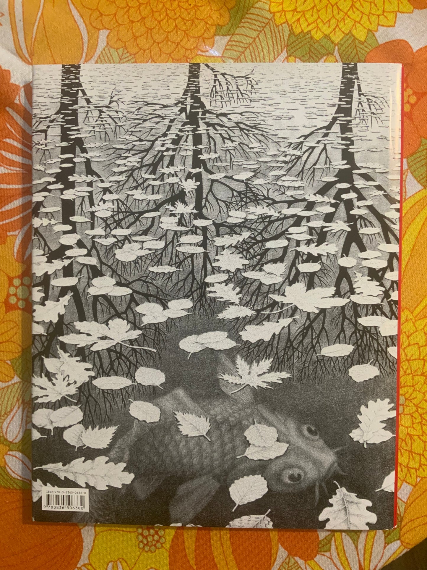 L’oeuvre graphique M.C Escher Livre neuf.