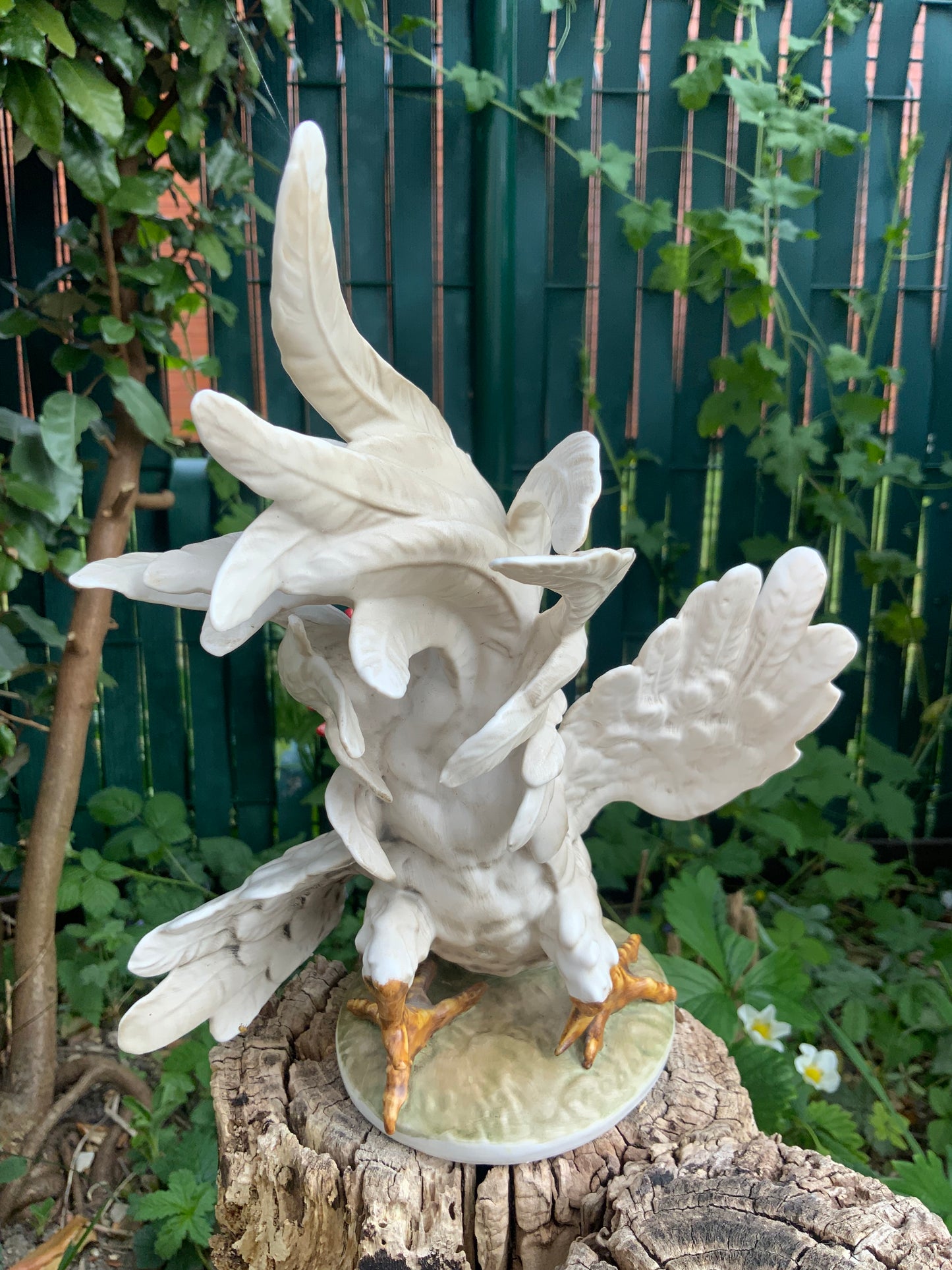 CoQ de combat Goebel Vintage