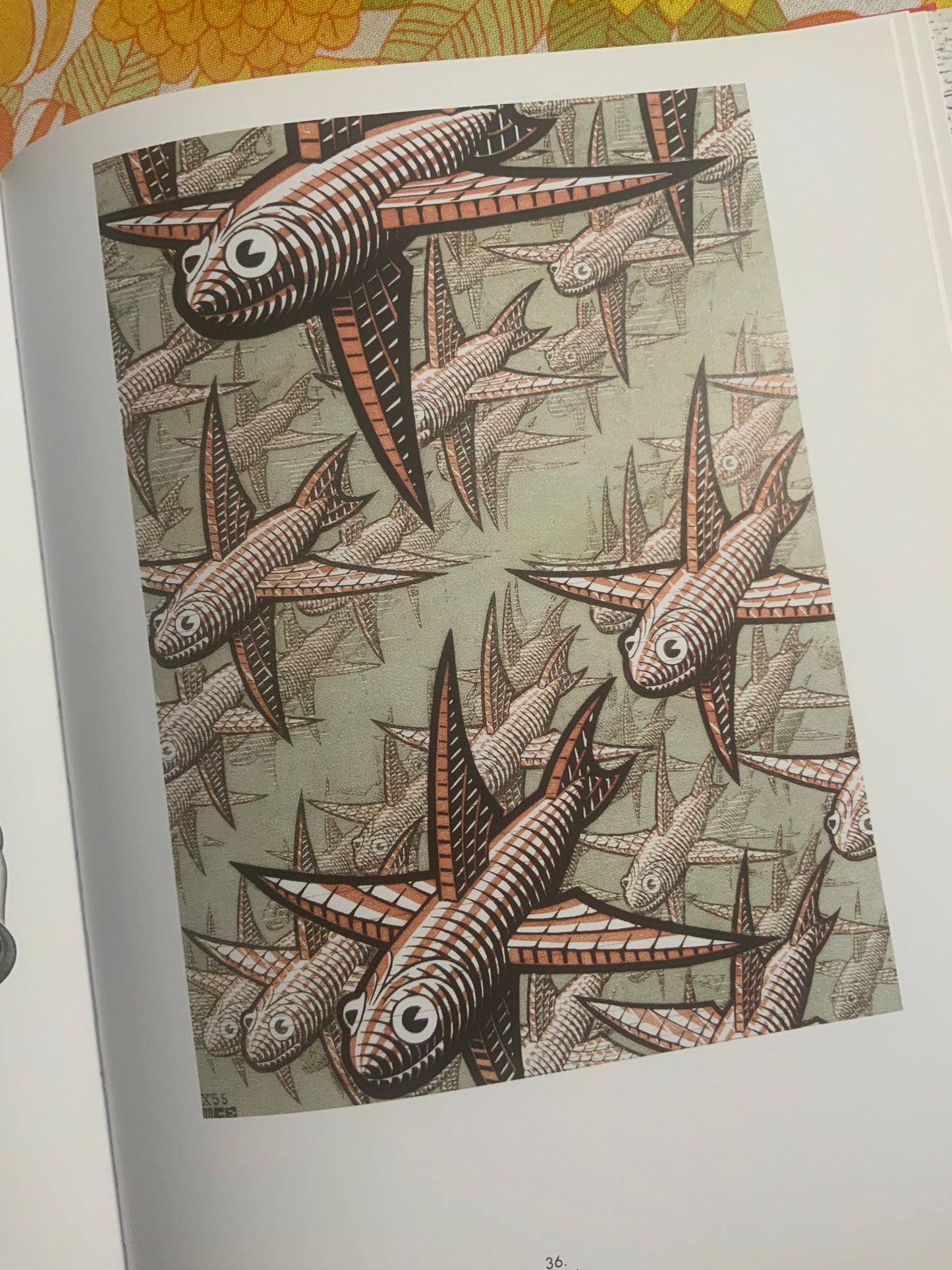 L’oeuvre graphique M.C Escher Livre neuf.
