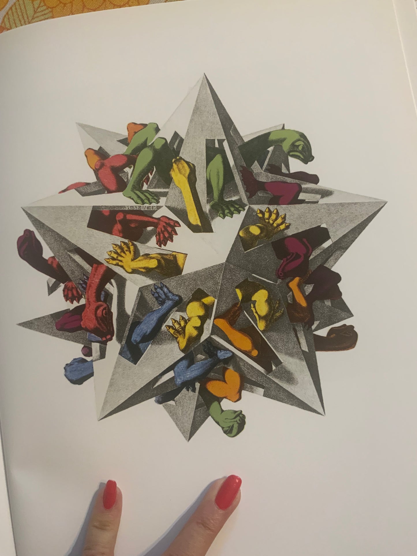 L’oeuvre graphique M.C Escher Livre neuf.